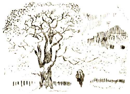 Важный разговор [Повести, рассказы] - i_014.png