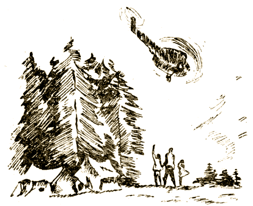 Важный разговор [Повести, рассказы] - i_019.png