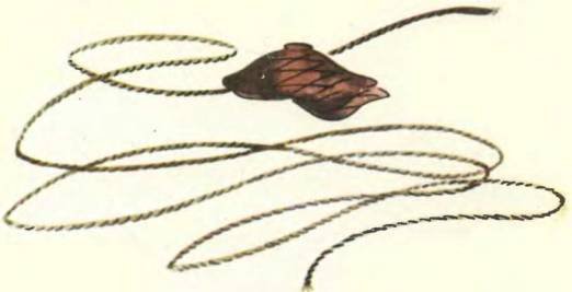 Про маленького поросенка Плюха - i_023.jpg