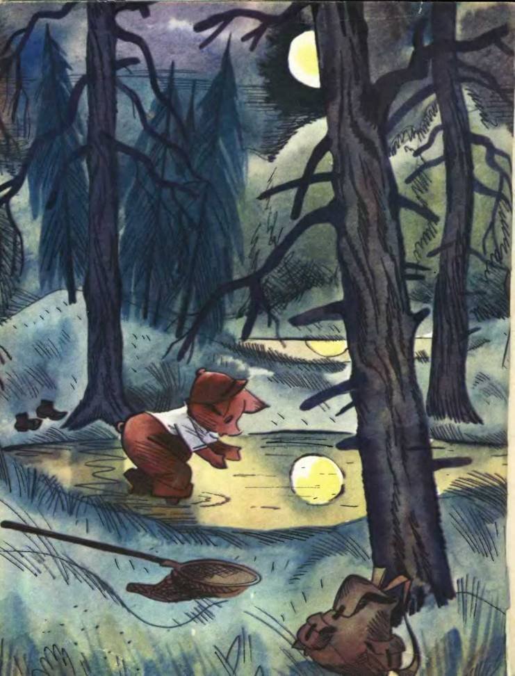 Про маленького поросенка Плюха - i_024.jpg