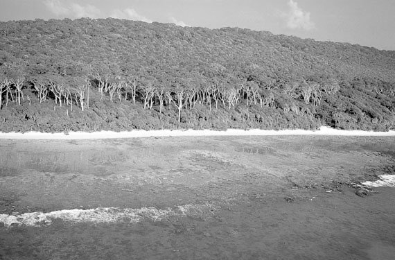 100 великих катастроф (с илл.) - i_045.jpg