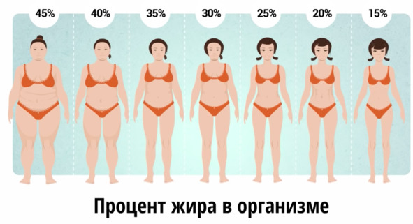 9 шагов здоровой потери веса. Наука похудения без мифов и голодовки 9 шагов здоровой потери веса. Наука похудения без мифов и голодовки