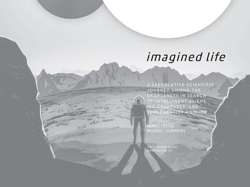 Воображаемая жизнь Воображаемая жизнь