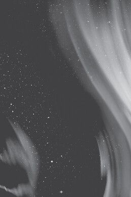 Воображаемая жизнь Воображаемая жизнь