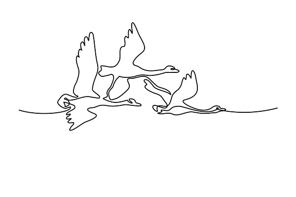 Берегите друг друга Берегите друг друга