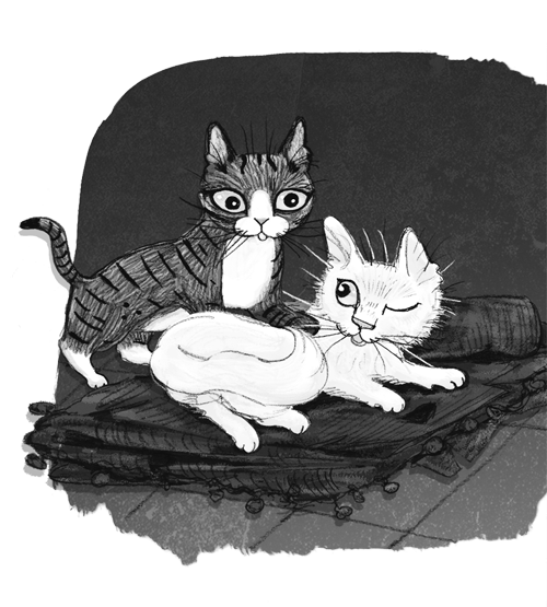 Ночёвка с грабителями