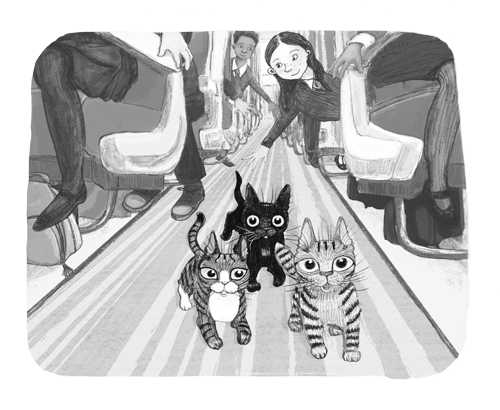 Ночёвка с грабителями Ночёвка с грабителями