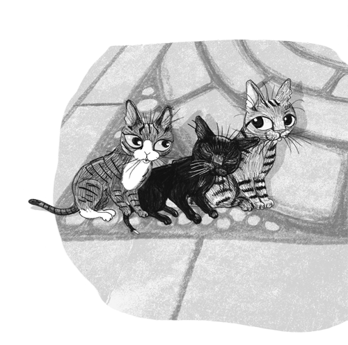 Ночёвка с грабителями Ночёвка с грабителями