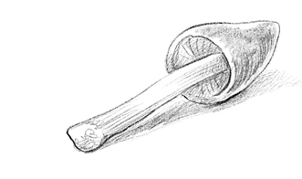 Говорящий лес Говорящий лес