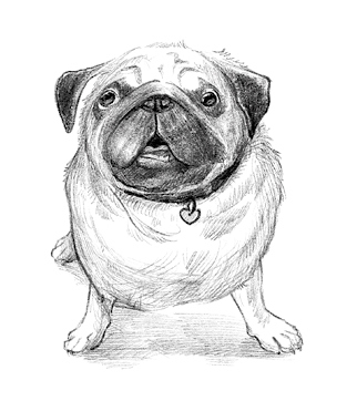 Говорящий лес Говорящий лес