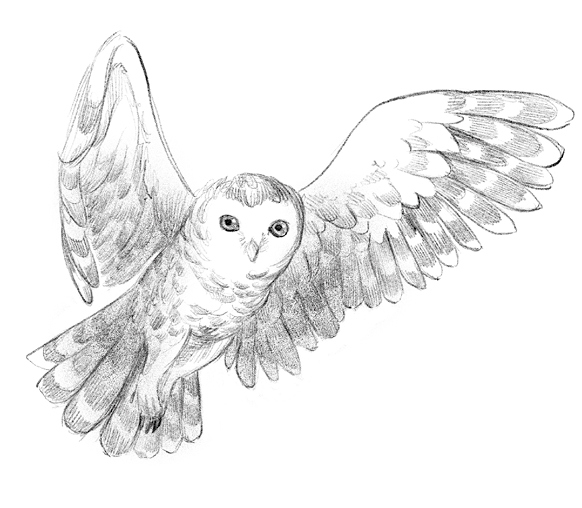 Говорящий лес Говорящий лес