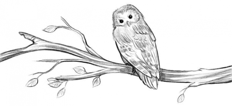 Талисман четырёх стихий Талисман четырёх стихий