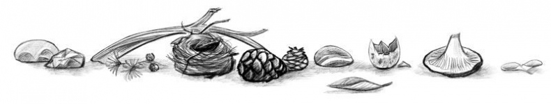 Талисман четырёх стихий Талисман четырёх стихий