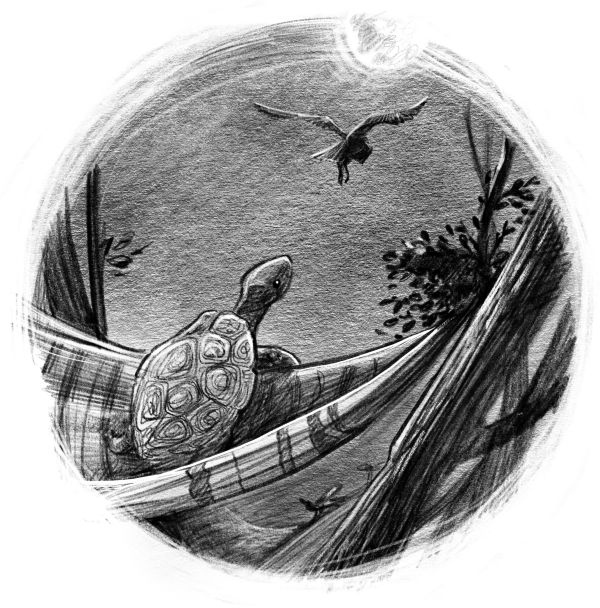 Талисман четырёх стихий