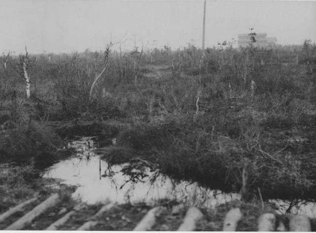 Белый Север. 1918 Белый Север. 1918