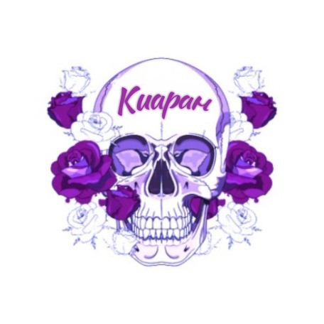 Перикулюм Перикулюм