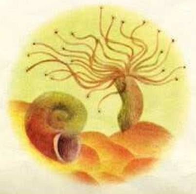 Янтарик - i_011.jpg