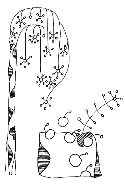 Гордые мечты березки в пору, когда распускаются почки - i_001.png