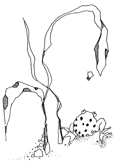Канал принца Флурио - i_002.png