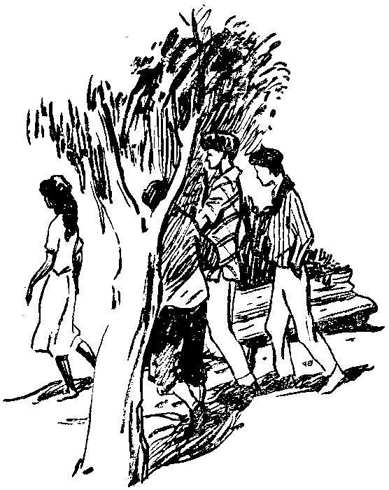 40 австралийских новелл - i_009.jpg