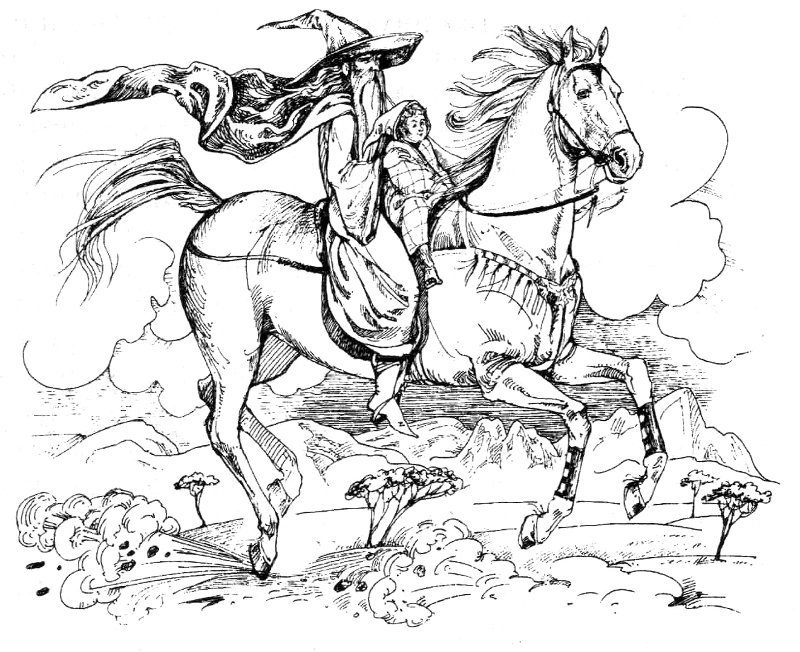 Дві Вежі - i_013.jpg