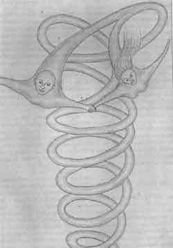 Мир сложнее, чем мы думали - any2fbimgloader10.jpeg