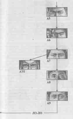 Встреча с мастером - any2fbimgloader32.jpeg