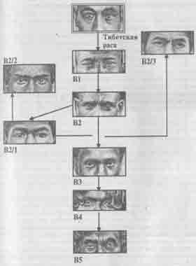 Встреча с мастером - any2fbimgloader35.jpeg