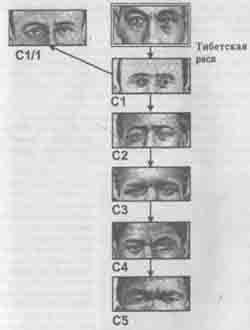 Встреча с мастером - any2fbimgloader38.jpeg