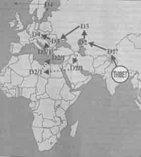 Встреча с мастером - any2fbimgloader40.jpeg