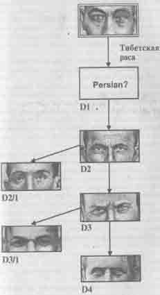 Встреча с мастером - any2fbimgloader41.jpeg