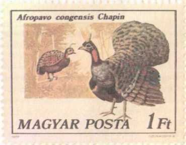 От кобры до медведя гризли - i_012.jpg