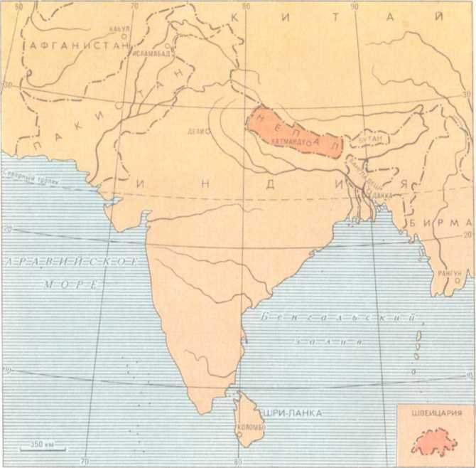 От кобры до медведя гризли - i_026.jpg