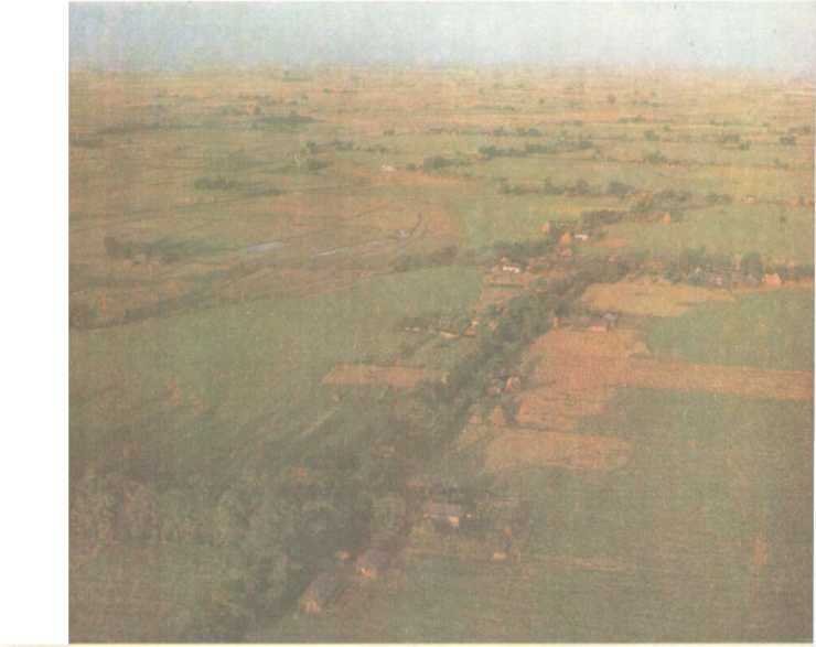 От кобры до медведя гризли - i_027.jpg