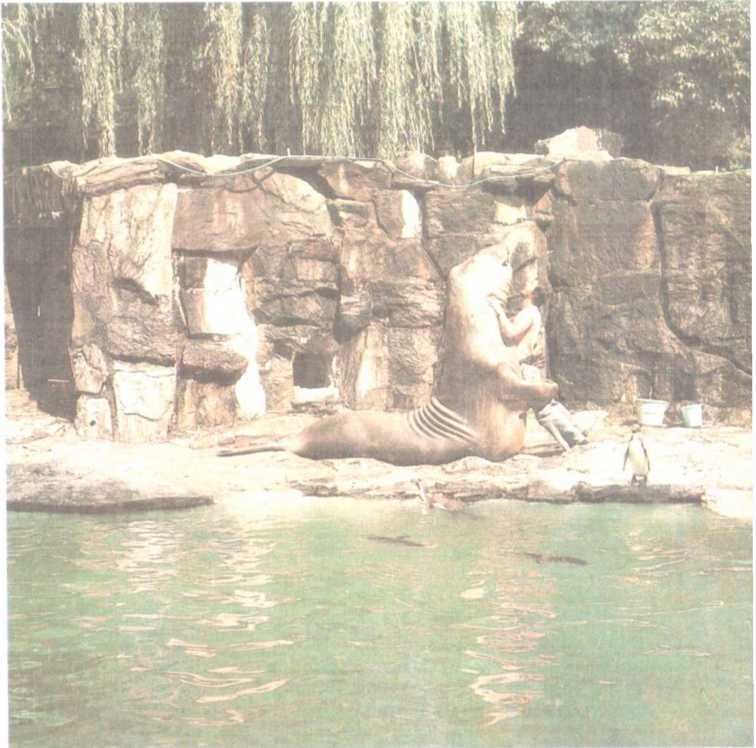 От кобры до медведя гризли - i_085.jpg