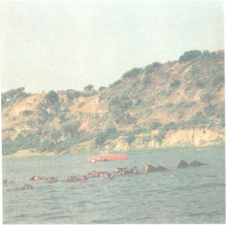 От кобры до медведя гризли - i_112.jpg