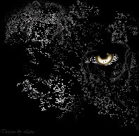 Книга Фотографии реальности (СИ)