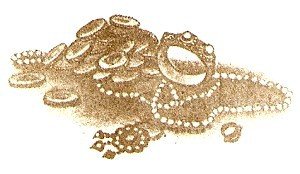 Робинзоны из Бомбея - i_019.jpg