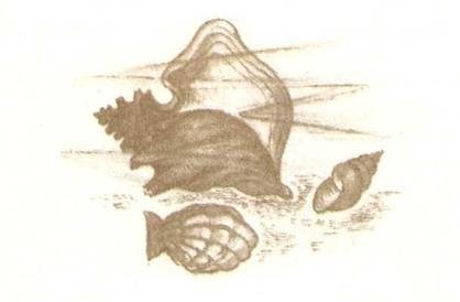 Робинзоны из Бомбея - i_026.jpg