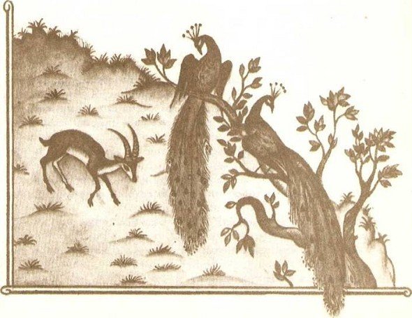 Робинзоны из Бомбея - i_029.jpg