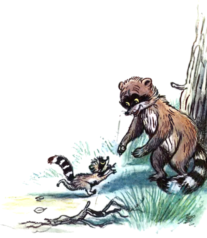 Крошка Енот и тот, кто сидит в пруду - image14.png