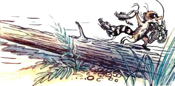 Крошка Енот и тот, кто сидит в пруду - image17.png