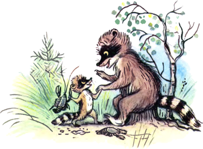 Крошка Енот и тот, кто сидит в пруду - image18.png