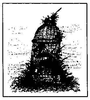 Сто років самотності (збірка) - _9.jpg