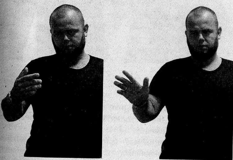 Книга Сверхчеловека. Учебное пособие по техникам Вада Шлахтера - doc2fb_image_02000020.jpg