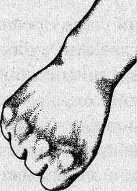 Книга Сверхчеловека. Учебное пособие по техникам Вада Шлахтера - doc2fb_image_02000065.jpg