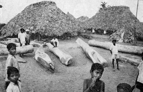 Индия глазами советских друзей - i_013.jpg