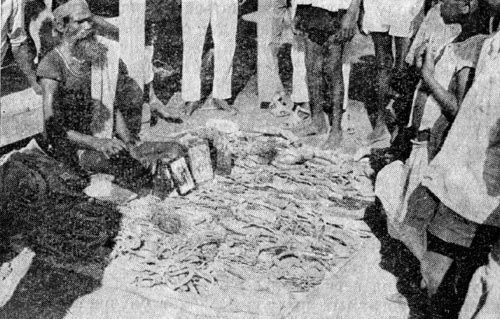 Индия глазами советских друзей - i_022.jpg