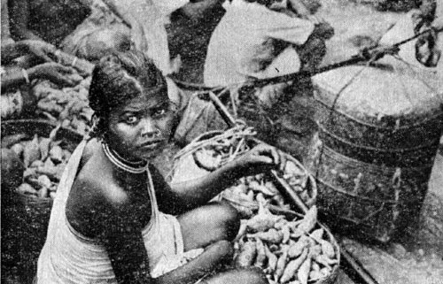 Индия глазами советских друзей - i_023.jpg