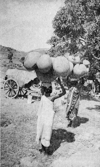 Индия глазами советских друзей - i_029.jpg